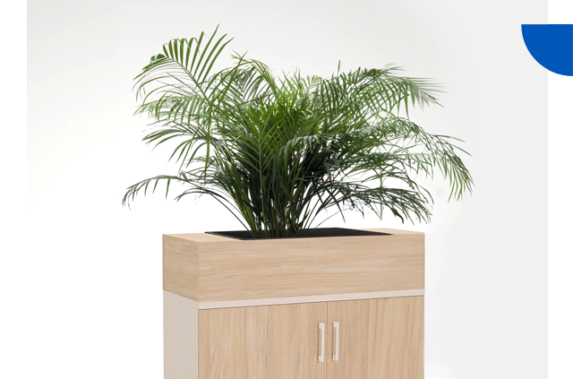 Plant pot