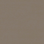V-02 Dunkelbeige
