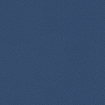 V-19 Blau