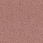 MC-2496-64183 Rosa