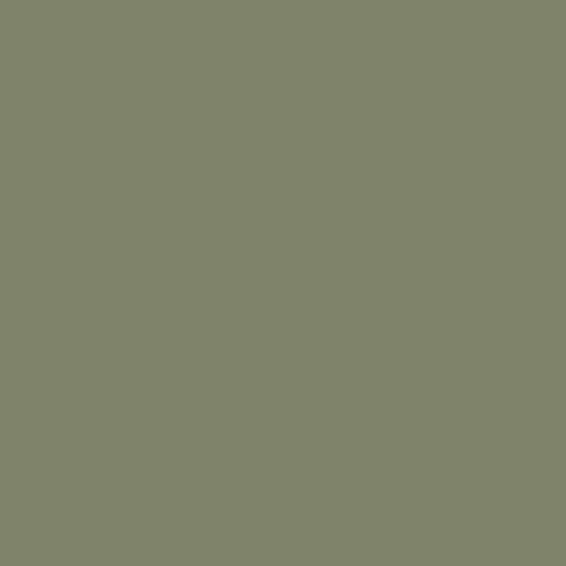 Olivgrün RAL 6013