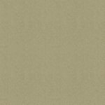 Q-19 Beige
