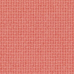 NB-64271 Rosa