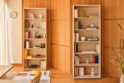 Standard - bookcase