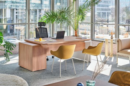 Mito - executive desk