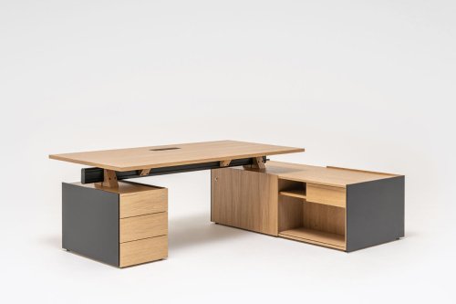 Viga executive desk with storage and pedestal