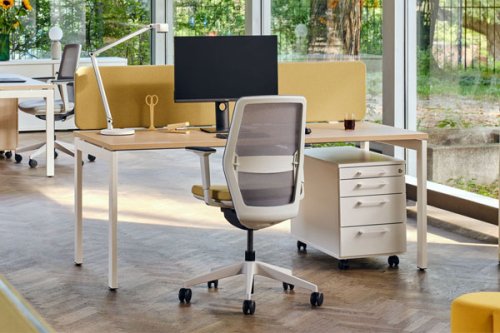 Twin - desk screens
