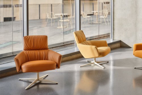 Toro - armchair low